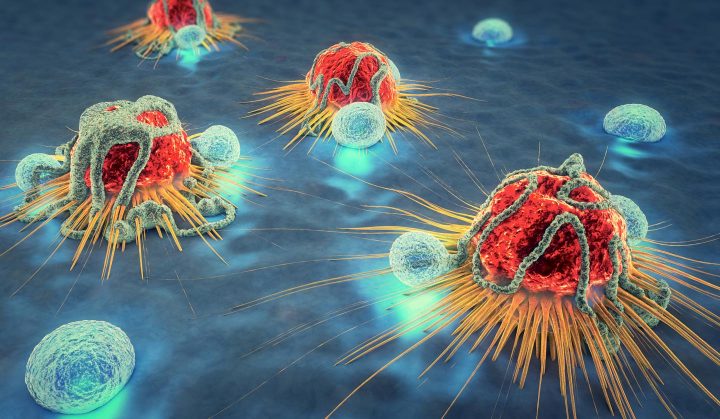 células del sistema inmunitario atacando células cancerosas
