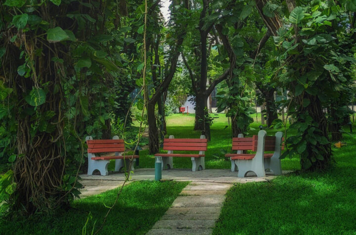 Bancos de parque que invitan a hacer una pausa en la naturaleza