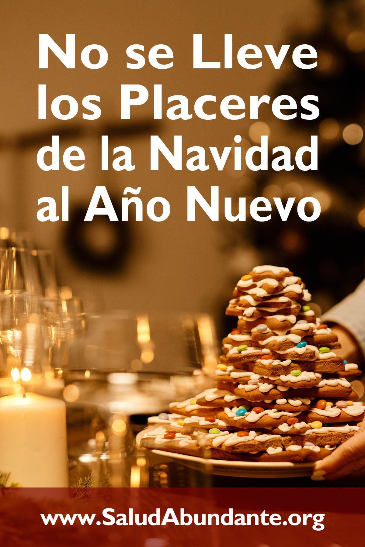 No se Lleve los Placeres de la Navidad al Año Nuevo