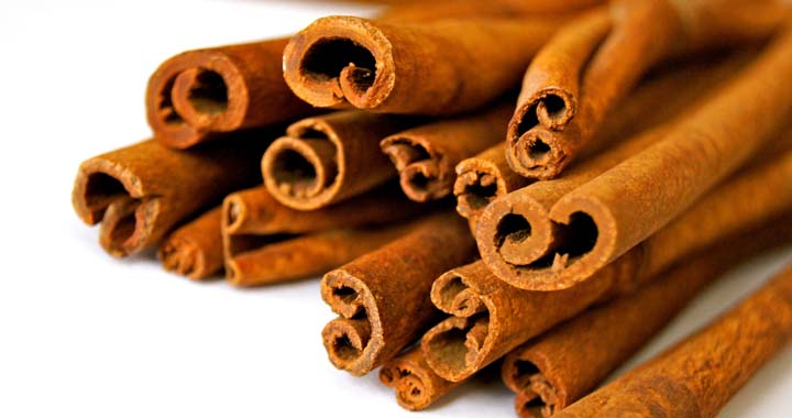 Canela