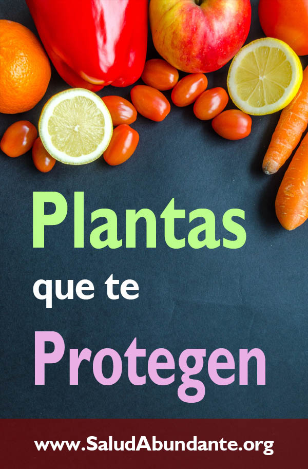 Plantas que te Protegen