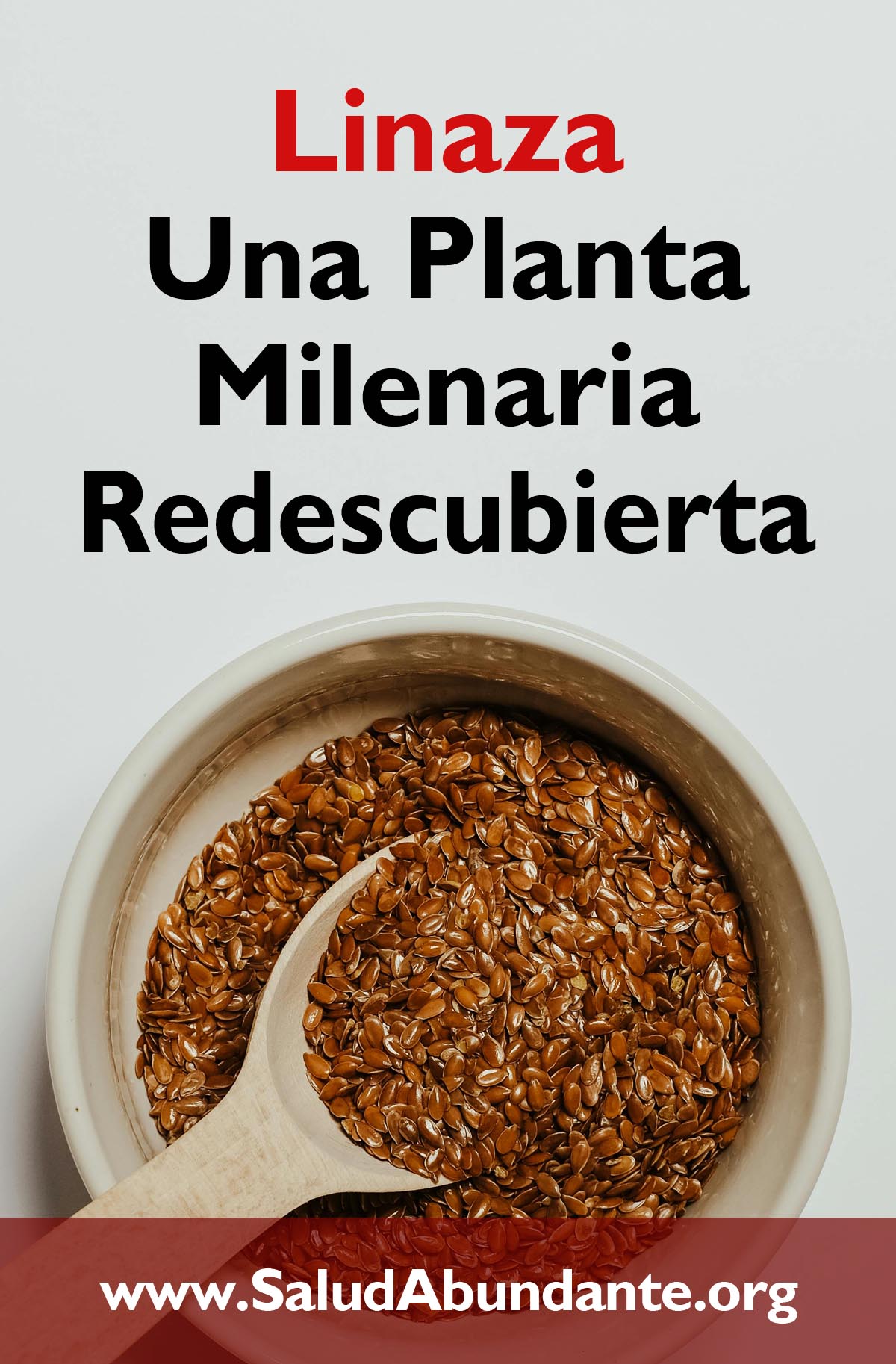 Linaza - Una Planta Milenaria Redescubierta