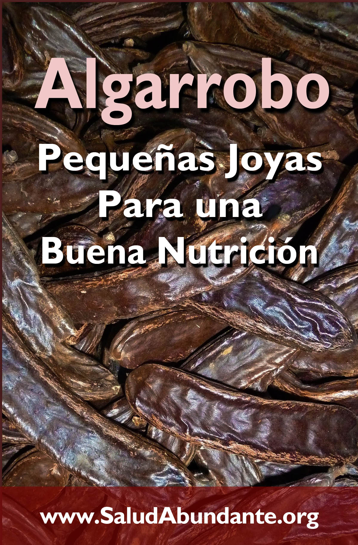 Algarrobo - Pequeñas Joyas Para una Buena Nutrición