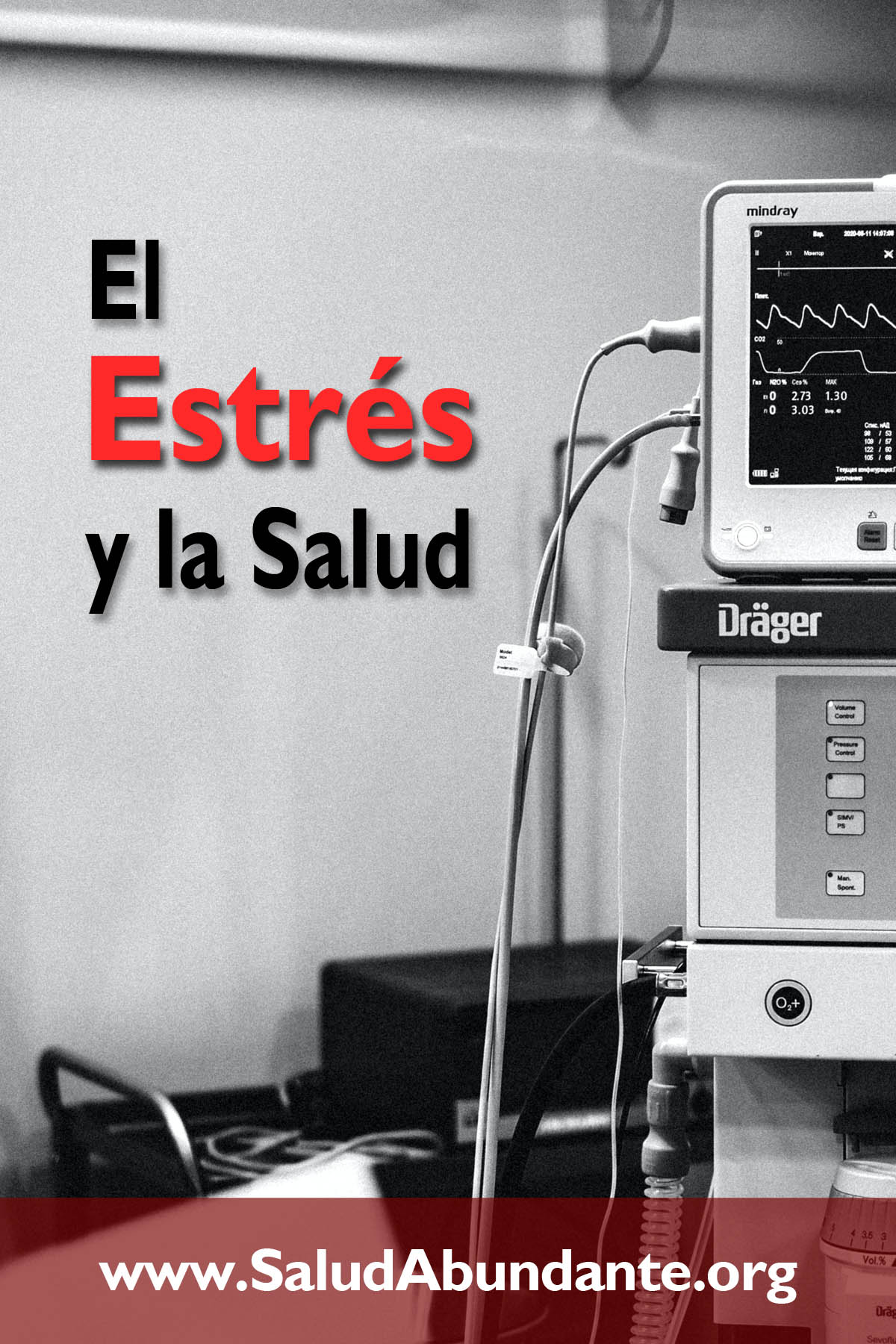 El Estrés y la Salud