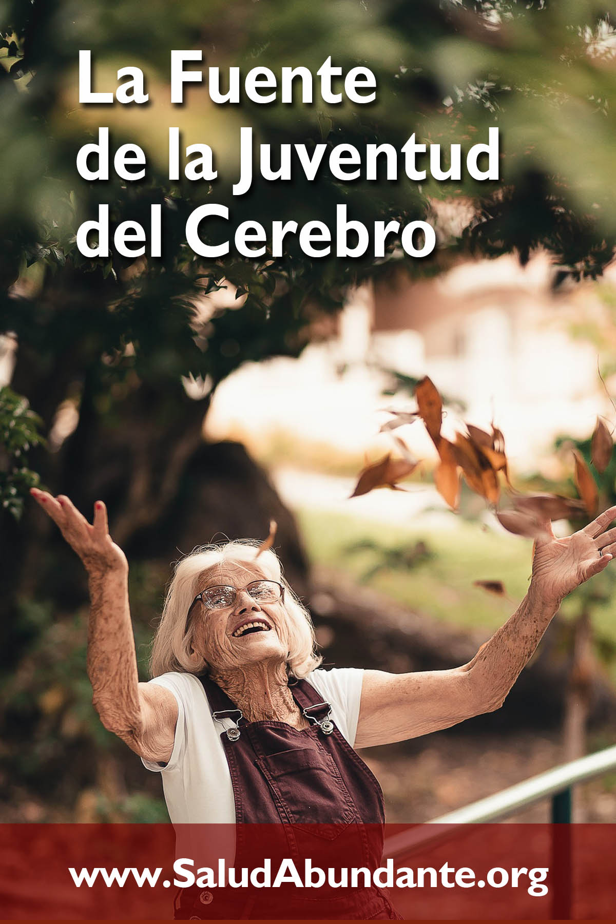 La Fuente de la Juventud del Cerebro