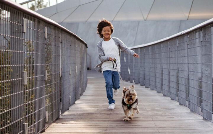 Un niño saca a pasear al perro