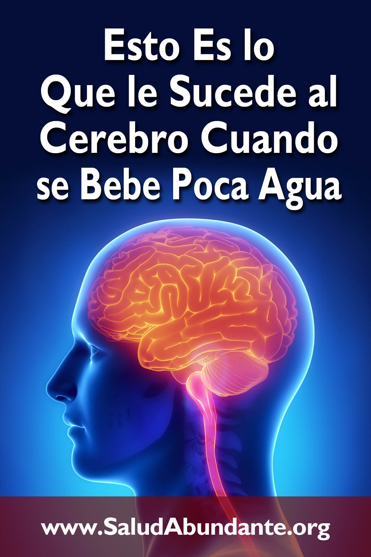 Esto Es lo Que le Sucede al Cerebro Cuando se Bebe Poca Agua