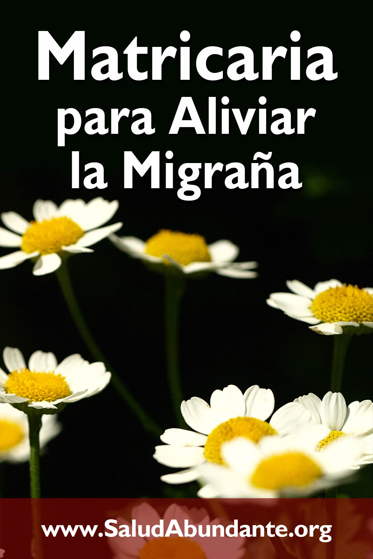 Matricaria para Aliviar la Migraña