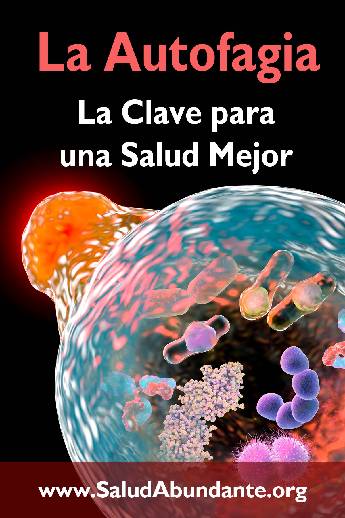 La Autofagia - La Clave para una Salud Mejor